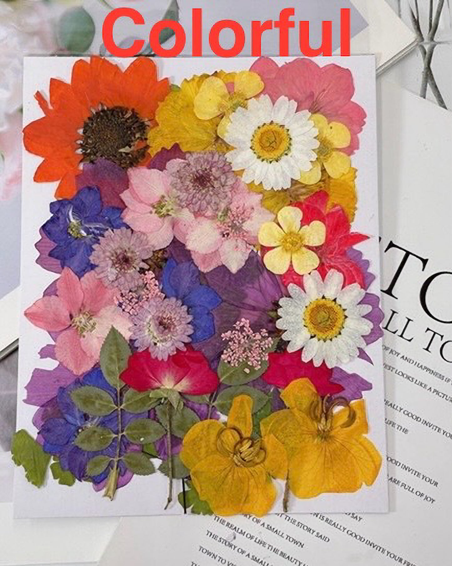 Pressed Flower Frame - DIY Kit